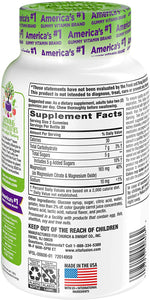 Vitafusion Magnesium Gummy Supplement Citrus 60 Count